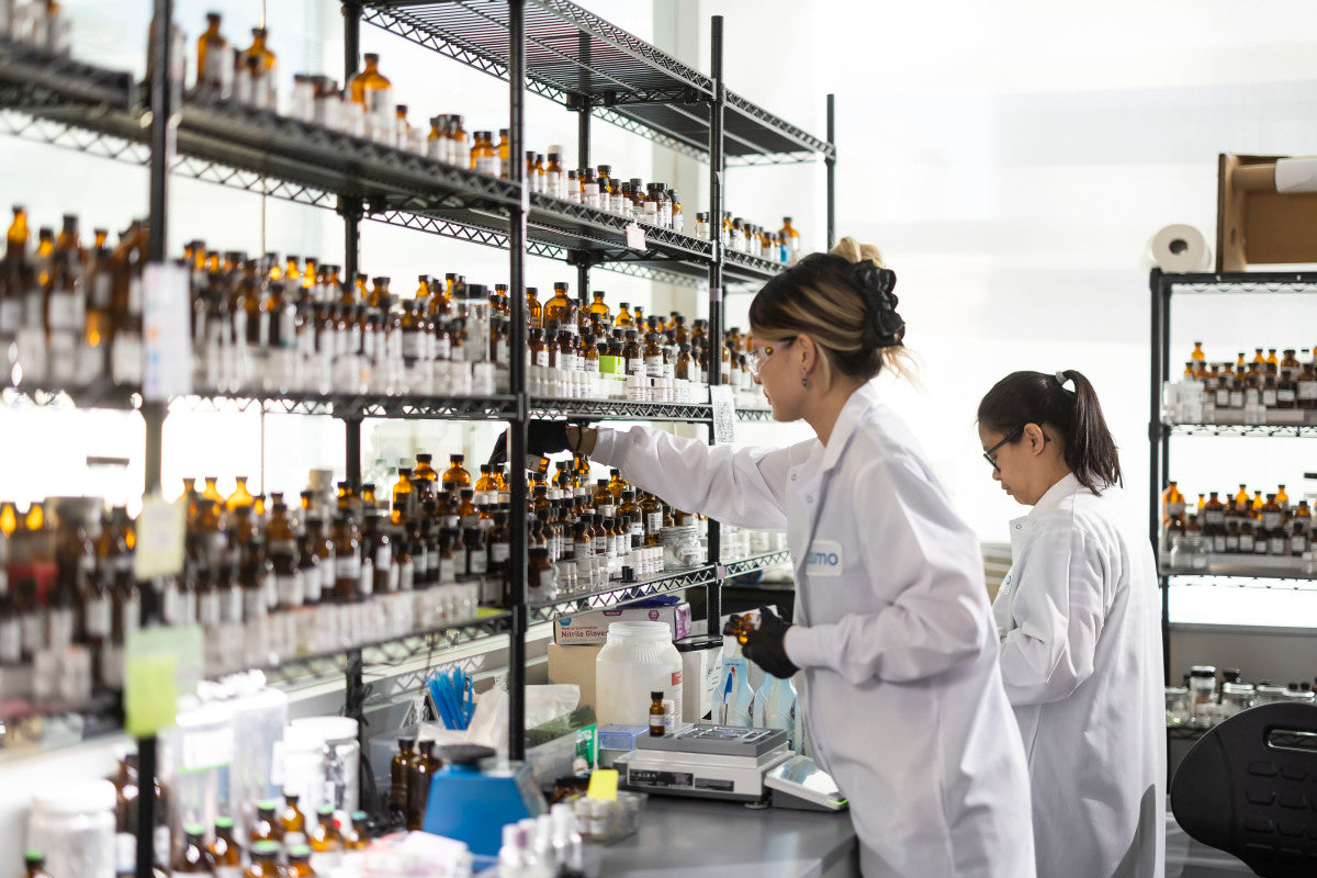 The Alchemist's Lab: Unveiling the Rare, Secret Notes in Mystic East  Scents